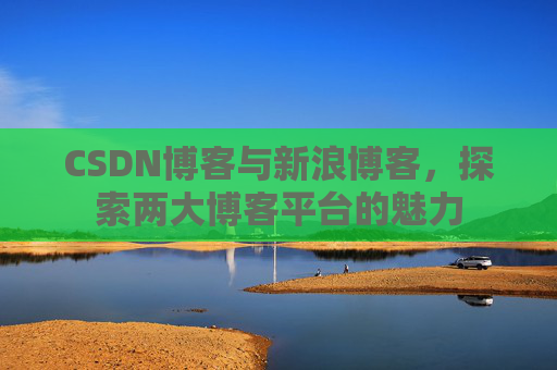 CSDN博客与新浪博客，探索两大博客平台的魅力
